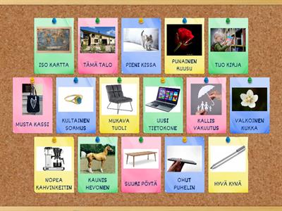 Objekti: Mitä haluaisit ostaa? SANATYYPIT