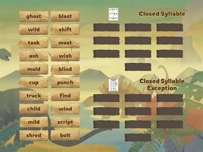 Closed Syllable or Closed Syllable Exception Sort