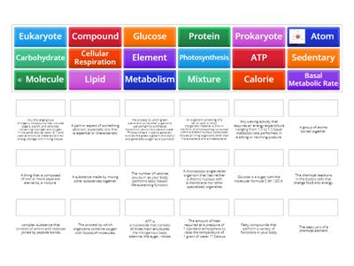 Molecular vocab