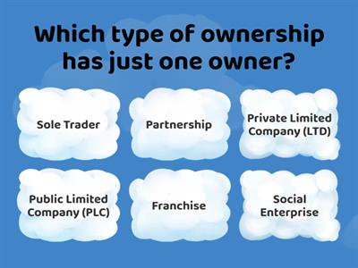 Types of business ownership