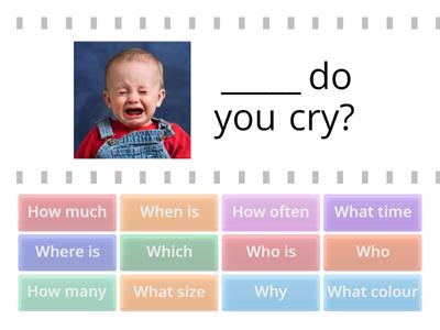 Who What When Where Why