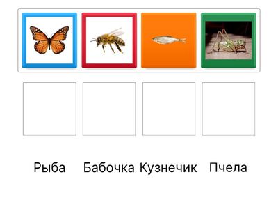 Соотнеси изображение с картинками и назови тип развития