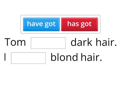 Have got/has got
