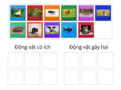 Động vật có ích, động vật gây hại.