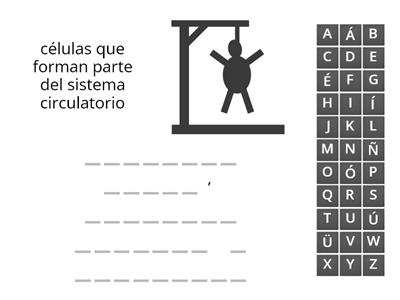 sistema circulatorio