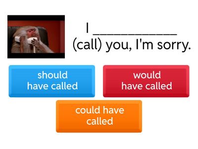  could have, should have, would have 