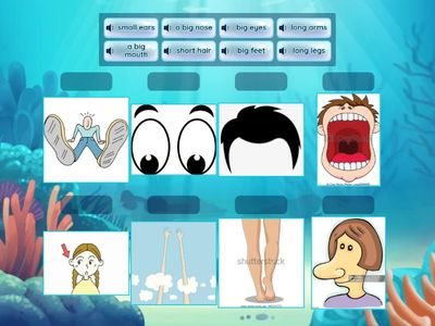 TB1A Unit 5 body parts