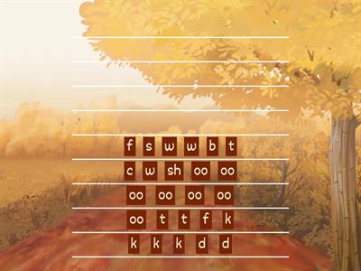 Short /oo/ Word Builder 