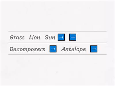 The Lion King Food Chain