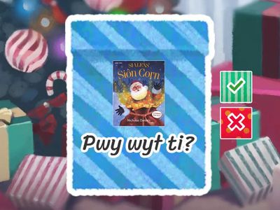  Siôn Corn Q& A Flashcards PDM