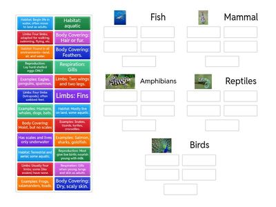 Types of Vertebrates