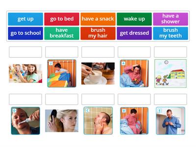 Daily routine verbs