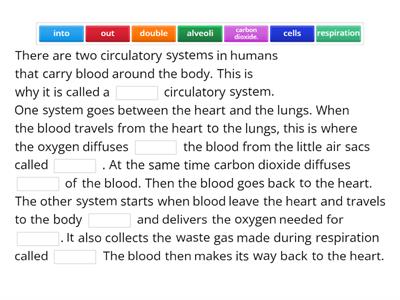 Double circulatory system in mammals - scaffold