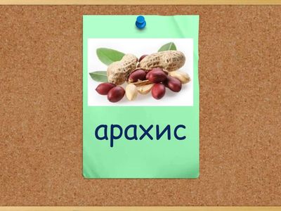 Vocabulary lessons 4-7