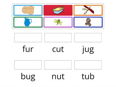 Vowel (u)cvc words.