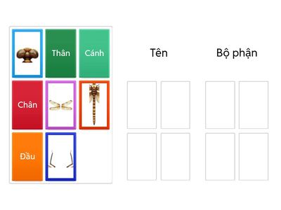Nối tên với bộ phận tương ứng