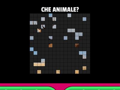 Che animale è?