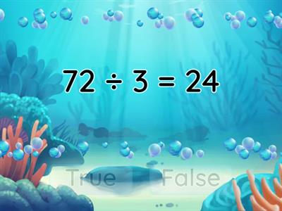  Arithmetic  equation balance