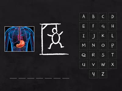 Vocabulary 6.1 Parts of the body