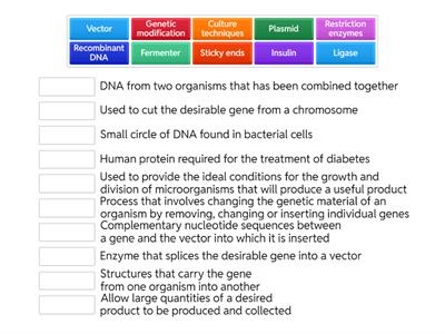 IGCSE Genetic modification