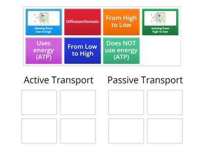 Active vs. Passive Transport Sort