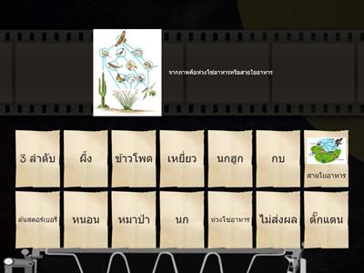 วิทยาศาสตร์ ป.5 เรื่อง ห่วงโซ่อาหาร by มิสพลอย