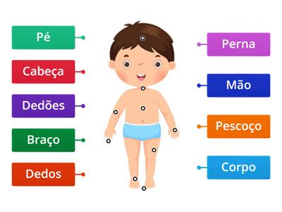 Vocabulário - Partes do Corpo