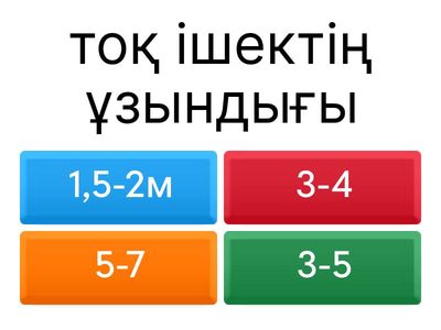 Анатомия Ерсұлтан