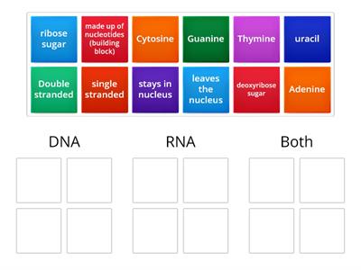 Compare/contrast DNA and RNA