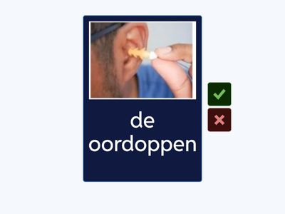 de zintuigen NT2 | het gehoor | flashcards