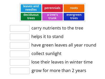 Facts about trees