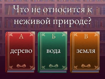 Окружающий мир