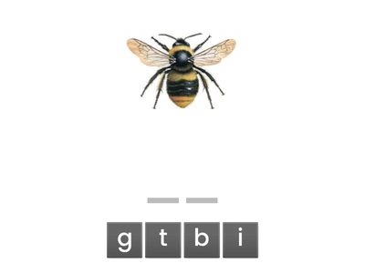 Vecka 1 - 5 (bara bilder)