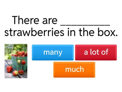 much, many, a lot of_English Plus1_Unit5