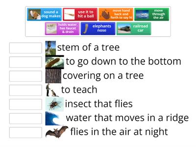 multiple meaning NP1