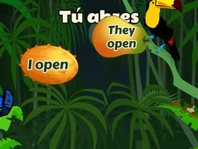 Spanish ER & IR Verbs