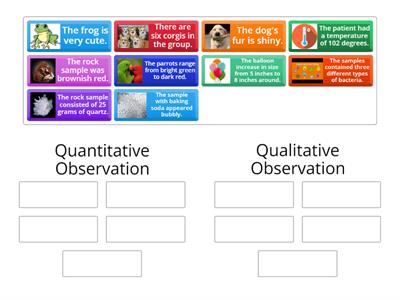 Izzo Qualitative/ Quantitative Observation
