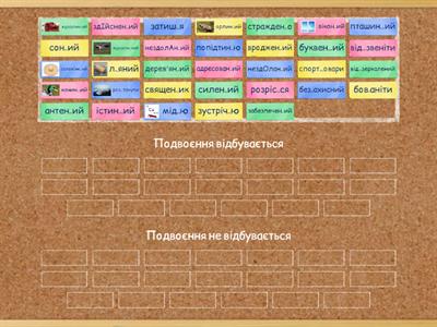 Подвоєння приголосних (11 кл)