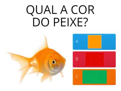 QUAL É A COR?