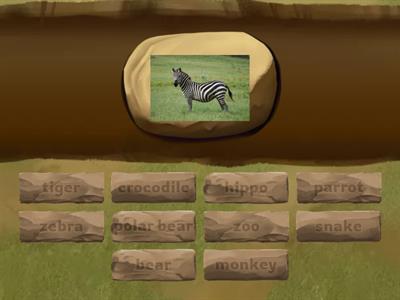 Super Minds 2 Unit 2 The zoo