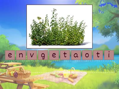 SO B1+ U5 Nature vocabulary