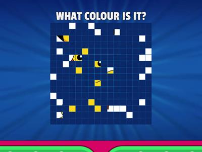 WHAT COLOUR IS IT? 