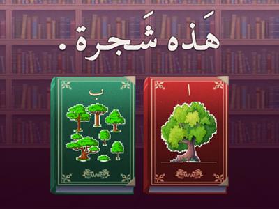 مراجعة قواعد1