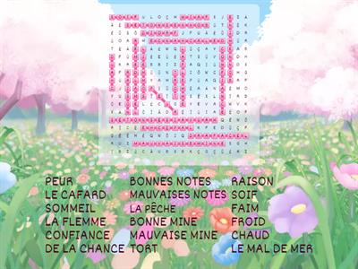 Les expressions avec AVOIR