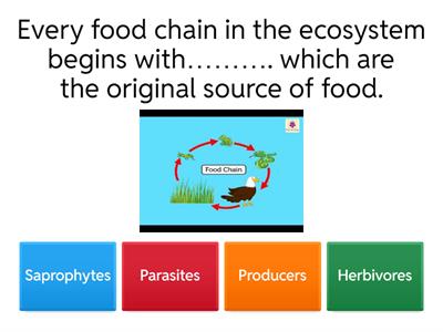 Class 10 Our Environment 