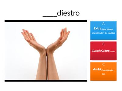 Prefijos y Sufijos en Latín