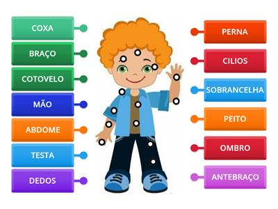 PARTES DO CORPO HUMANO