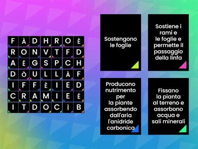 LE PARTI DELLA PIANTA