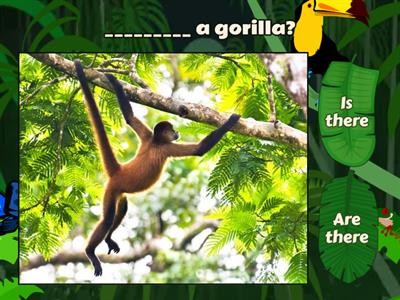 Australia there / Are there ?