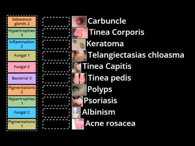  Examples of skin disease and disorders